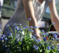 Ideen und Tipps für langfristige Gartenplanung für die kommenden Saisons