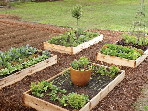 Ideen und Tipps für langfristige Gartenplanung skizze hochbeet