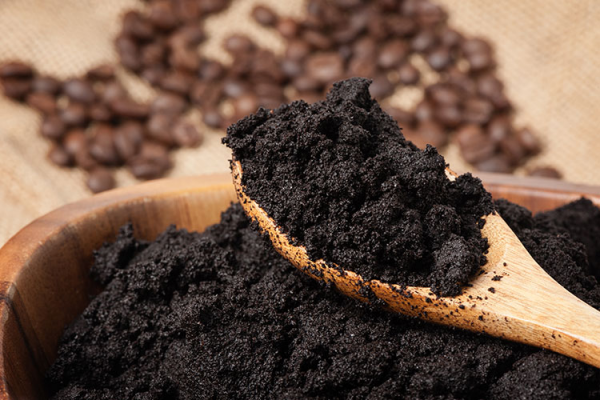 Kaffee-Peeling selber machen feuchter Kaffeesatz verursacht schnelle Schimmelbildung