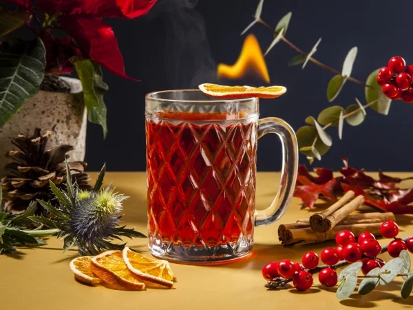 Warme Winter-Drinks ein Punsch mit roten Moosbeeren getrocknete Orangenscheiben