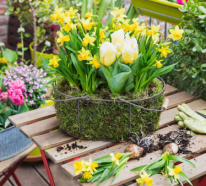 Gartenarbeit im Frühjahr – was steht nun auf Ihrer To-Do-Liste?