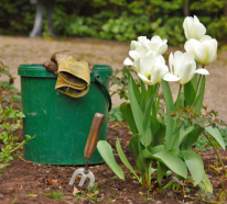 Gartenarbeit im Frühjahr – was steht nun auf Ihrer To-Do-Liste?