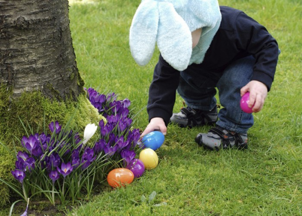Osterdeko für draußen DIY Ideen aus natürlichen Materialien lila Krokusse Kind versteckt bunte Eier