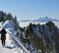 Das Winterparadies in der Schweiz erkunden
