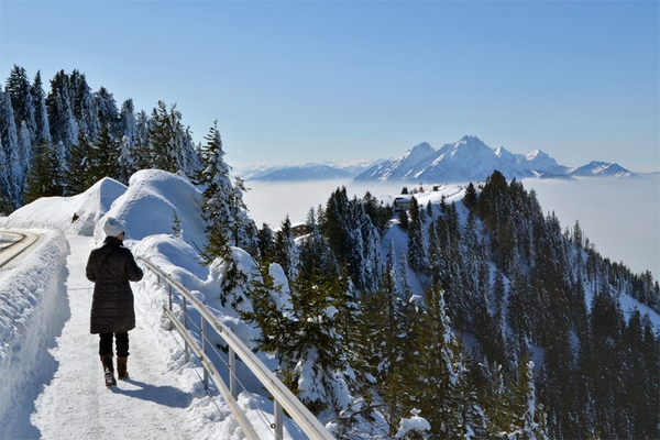 Das Winterparadies in der Schweiz erkunden7
