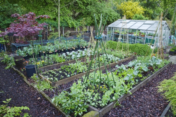 Gartenarbeit im April Topfpflanzen herausstellen fruehgemuese pflanzen