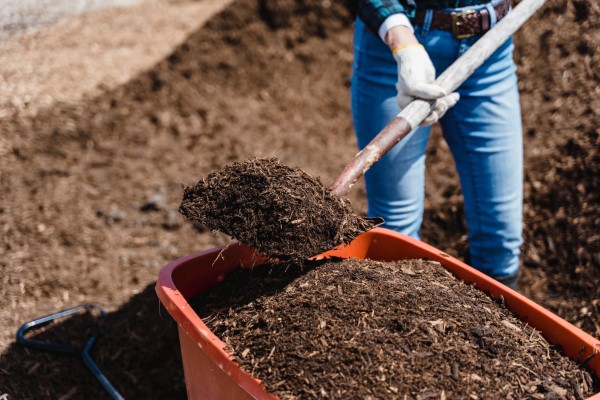 Rasenduenger selber machen mit Liebe zur Natur – Rezeptideen und Gartentipps kompost duenger anleitung