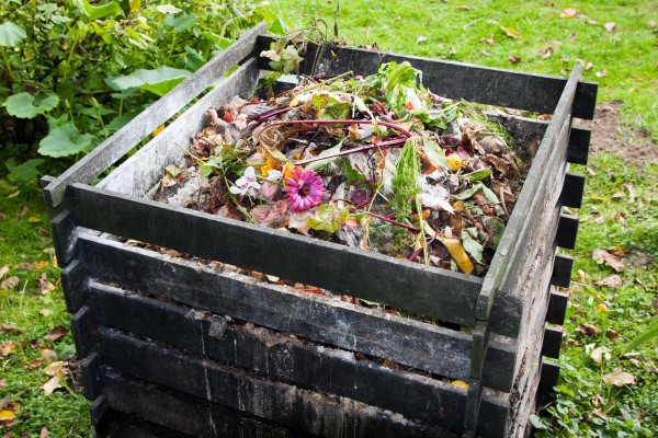 Torffreie Erde und warum diese fuer Ihre Pflanzen sinnvoller ist diy kompost garten
