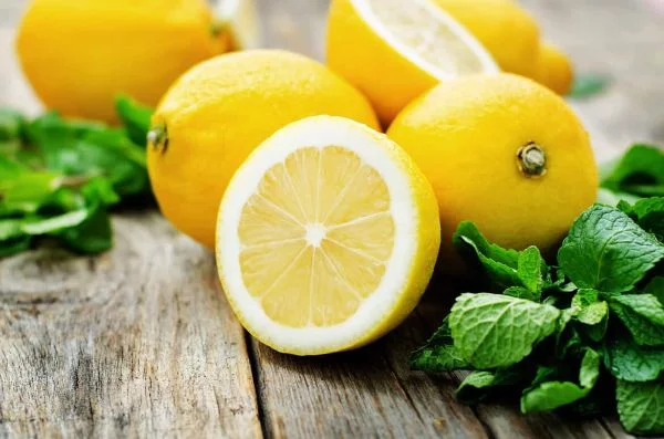 Zitronen und Minzblätter sind wichtige Zutaten für gesundes Zitronenwasser 