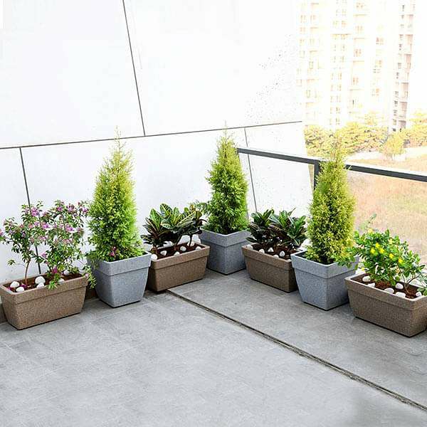terrassenbepflanzung kübelpflanzen verschiedene pflanzen kombinieren