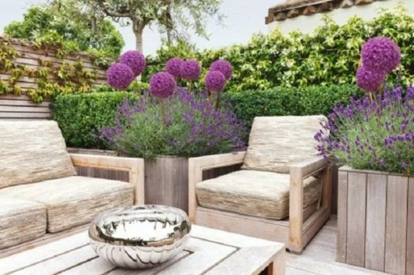 terrassenbepflanzung stilvolle gartenideen lila akzente