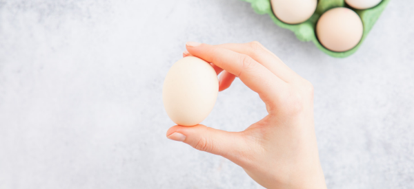 Eier haltbar frische Hühnereier kaufen die Eierschale testen sie soll unbeschädigt sein