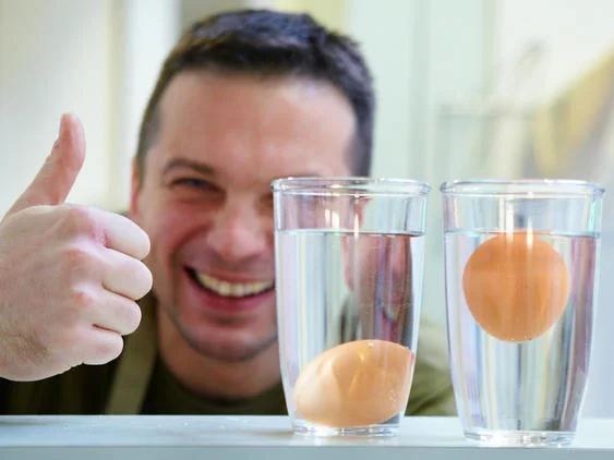 Eier haltbar nach dem Kauf zu Hause den sogenannten Eier-Test machen die Frische der Hühnereier testen