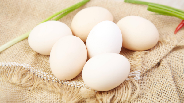 Eier haltbar nach dem Kochen auf der Eierschale keine Risse zu sehen sind gut für die längere Haltbarkeit