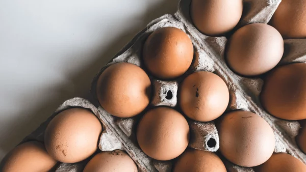 Eier haltbar zum Ostern großer Eierverbrauch frische Hühnereier kaufen