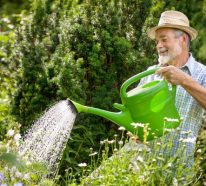 Wenn Sie Ihre Gartenpflanzen richtig gießen wollen, lesen Sie hier!