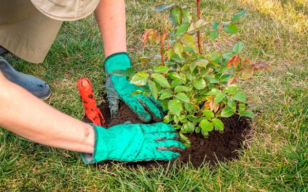 Gartengestaltung Tipps Blumentopf Ideen