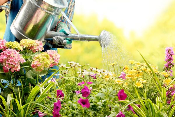 Gartenpflege Ideen fuer die Garteneinrichtung