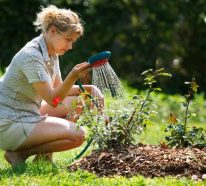 Professionelle Gartengestaltung selbst ohne viel Erfahrung – so geht es!