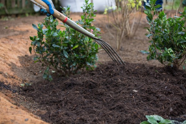 Hortensien duengen und weitere Pflegetipps – erfreuen Sie sich einer ueppigen Bluete kompost tipps gartenpflege