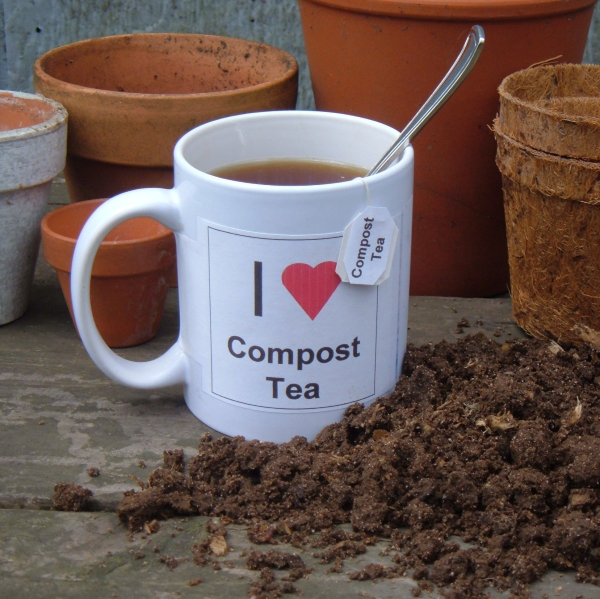 Hortensien duengen und weitere Pflegetipps – erfreuen Sie sich einer ueppigen Bluete komposttee tasse pflanzen futter