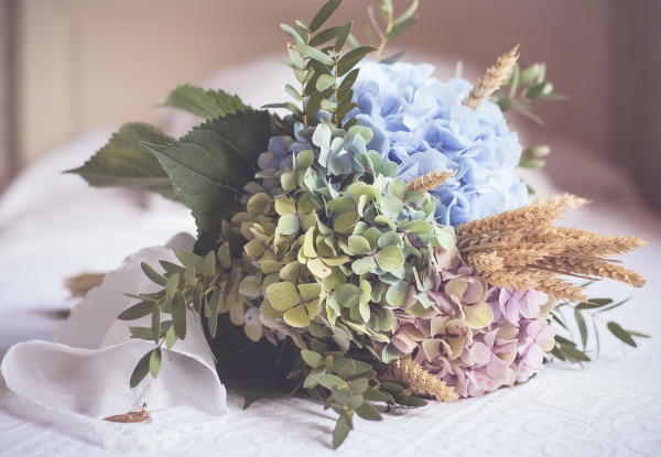 Hortensien duengen und weitere Pflegetipps – erfreuen Sie sich einer ueppigen Bluete schnittblumen arrangements sommer