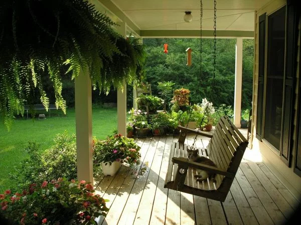 Moderne Außeneinrichtung - überdachte Terrasse mit Holzschaukel und üppigen Pflanzen 