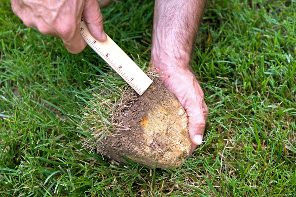 Moos im Rasen entfernen – Tipps und Tricks der Umwelt zuliebe vertikutieren rasenfilz entfernen