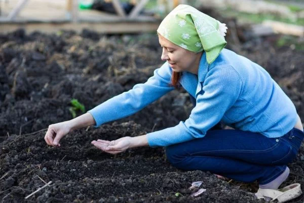 Professionelle Gartenarbeit - die Erde düngen