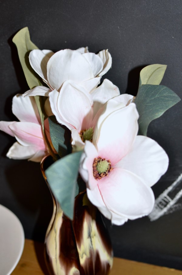 Sommer Magnolie – Pflegetipps und wissenswerte Fakten ueber die Adelspflanze schnittblumen hochzeit magnolia