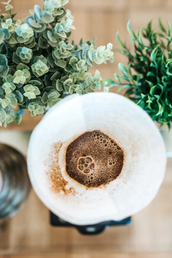 Welche Pflanzen moegen keinen Kaffeesatz Filterkaffee
