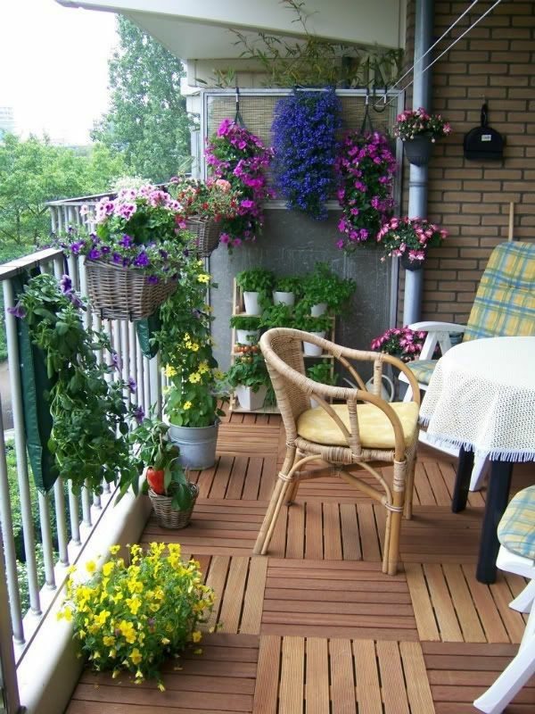 balkonpflanzen richtig auswaehlen balkon gestalten fuer sommer