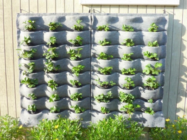 erdbeeren pflanzen kreative deko ideen gartentipps beton