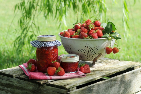 erdbeeren vermehren wurzeln aktivieren ziele setzen