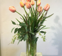 Französische Tulpen richtig pflegen und in der Vase länger genießen