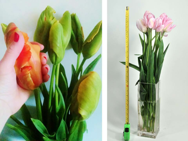 franzoesische tulpen vase