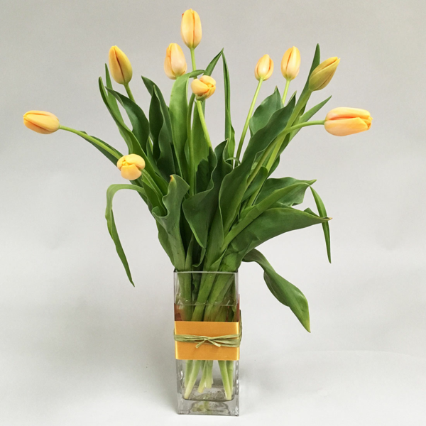 gelbe franzoesische tulpen blumenstrauss in der vase