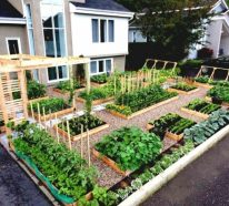 Gemüsebeet anlegen- wichtige Tipps für die Gartenarbeit im April