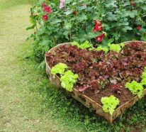 Gemüsebeet anlegen- wichtige Tipps für die Gartenarbeit im April