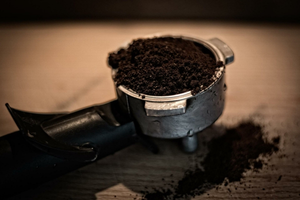 hortensien mit kaffeesatz düngen ein passendes düngungsmittel