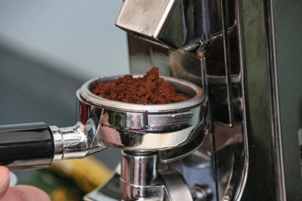 Kaffeesatz als Dünger für Hortensien