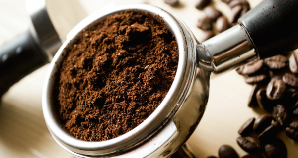 kaffeesatz gegen blattlaeuse hausmittel