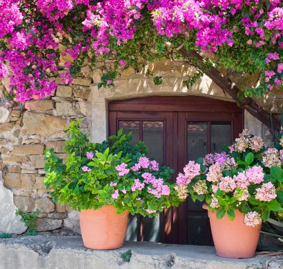 Tipps zur mediterranen Gartengestaltung