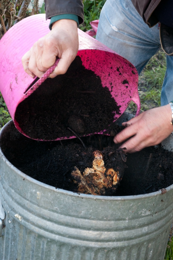 rhabarber pflanzen gartenarbeit im april kompost anlegen