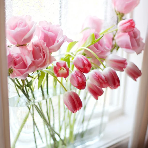 rosa franzoesische tulpen in der vase