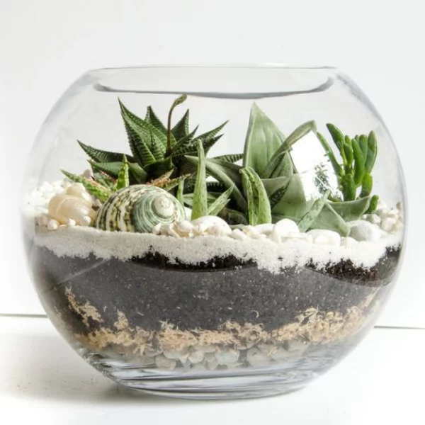 sukkulenten im glas im bickfang-kreative deko ideen mit pflanzen