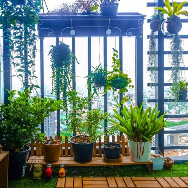 Balkonpflanzen Ideen lebendigen Außenbereich