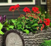 Baumstamm als Gartendeko – inspirierende Gestaltungsideen der Natur zuliebe