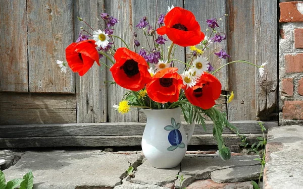Blumen mit negativer Symbolik Mohnblumen in der Vase zusammen mit anderen Wiesenblumen