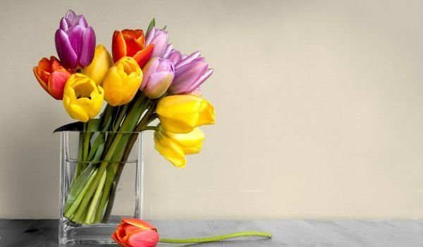 Blumen mit negativer Symbolik Tulpen in der Vase verschiedene Farben orange gelb violett rosa Farbwahl wichtig